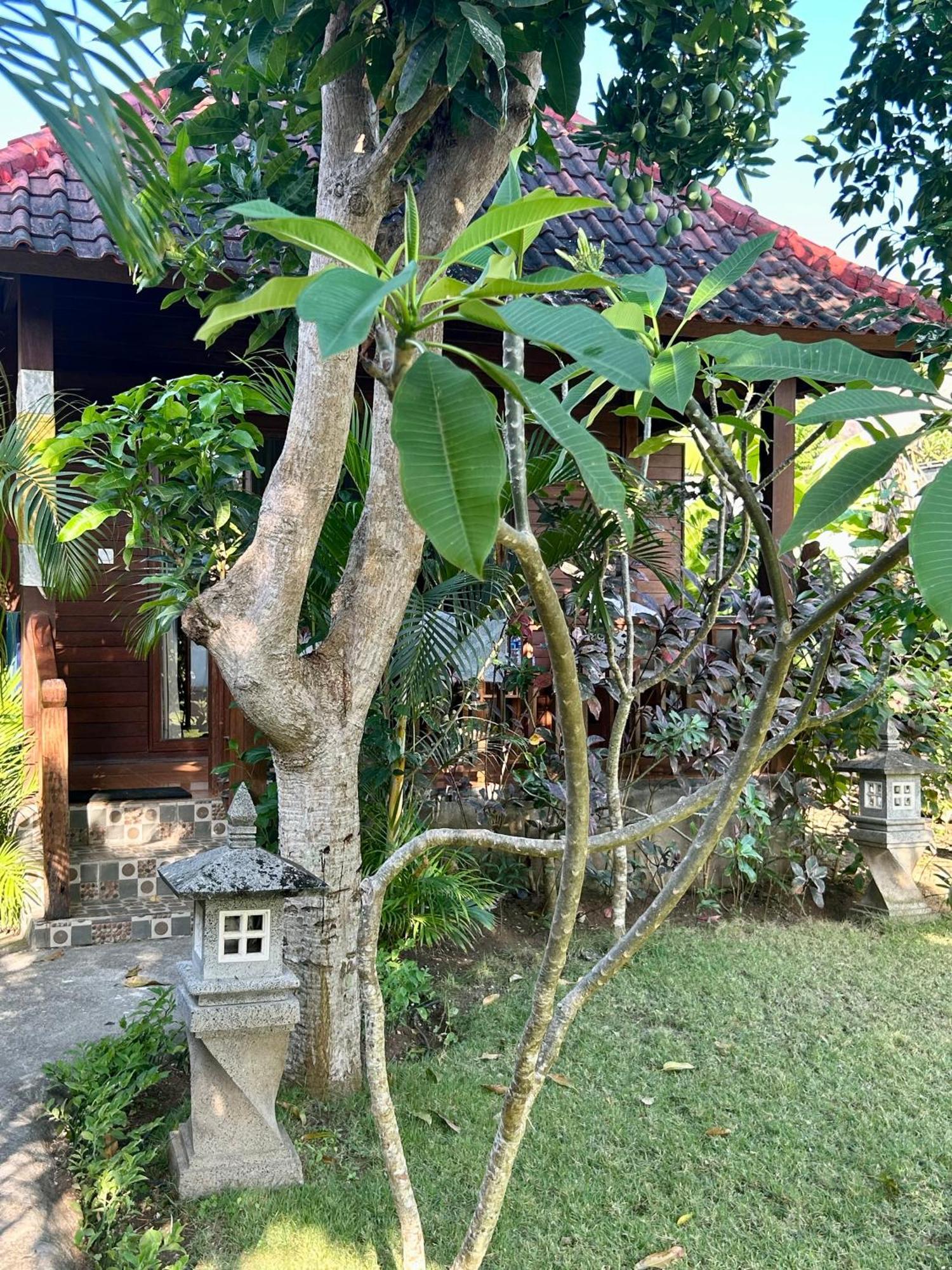Island Garden Huts Lembongan Bed & Breakfast Luaran gambar