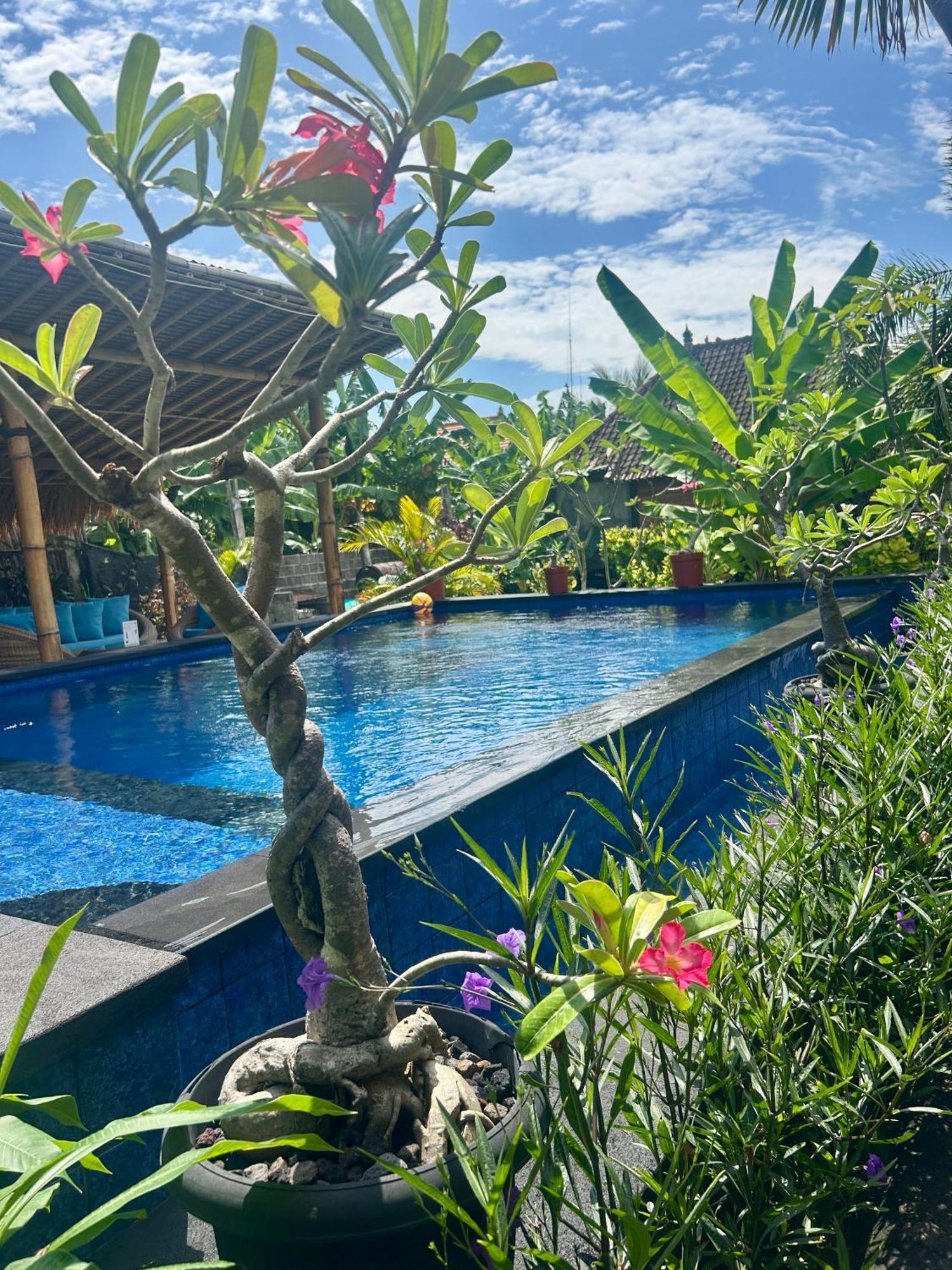 Island Garden Huts Lembongan Bed & Breakfast Luaran gambar